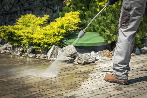 Best Driveway Pressure Washing  in Woodlynne, NJ